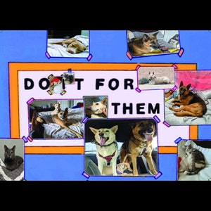 Jessica ha añadido una foto de su compra