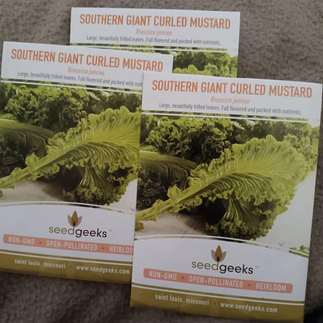 Mustard - Southern Giant Curled seeds