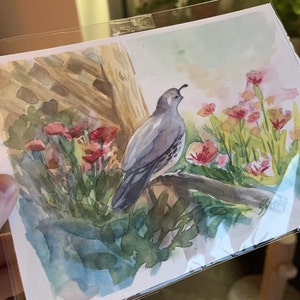Basil added a photo of their purchase