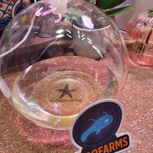 Sheryl added a photo of their purchase