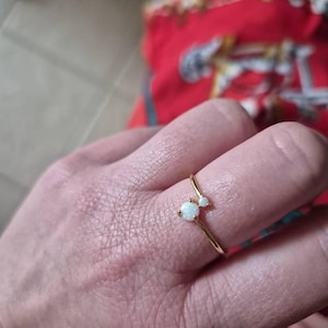 Amanda added a photo of their purchase