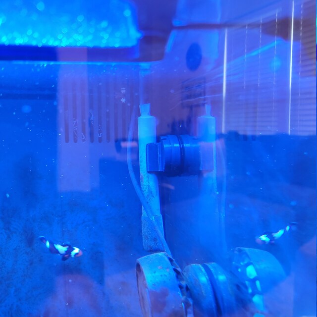single probe mount