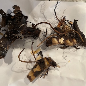 Marian ha añadido una foto de su compra