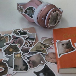 Lara added a photo of their purchase