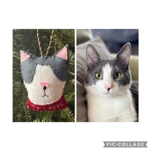 Lydia added a photo of their purchase