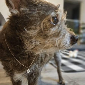 Ece added a photo of their purchase