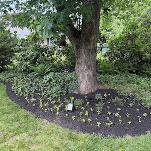 Stephanie adicionaram uma foto da sua compra