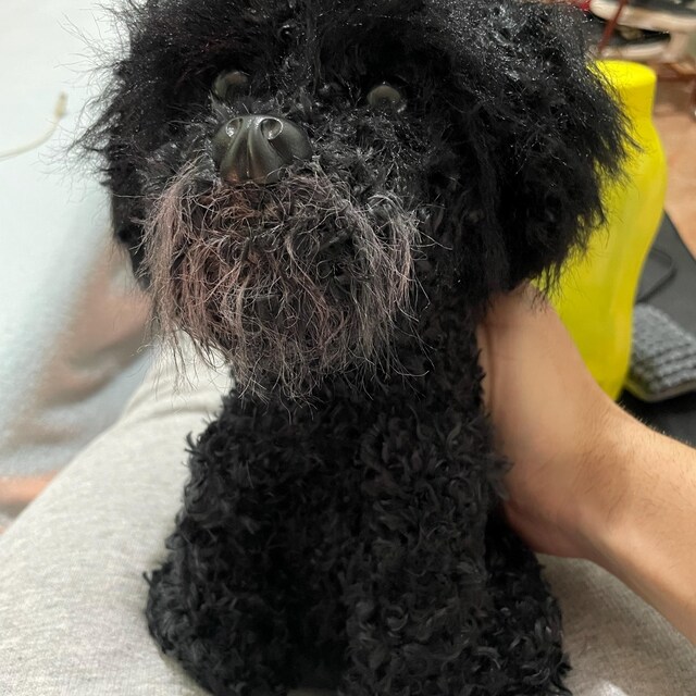 ANIMALE DOMESTICO NIDO di squali caldo nido di animali domestici nido per gatti yurta Bichon EUR