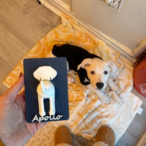 ANDREA added a photo of their purchase