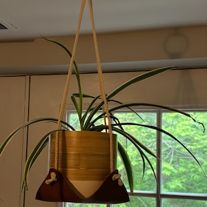 Lisa added a photo of their purchase