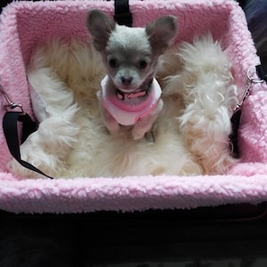 Amanda added a photo of their purchase