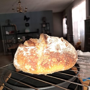 Ann added a photo of their purchase