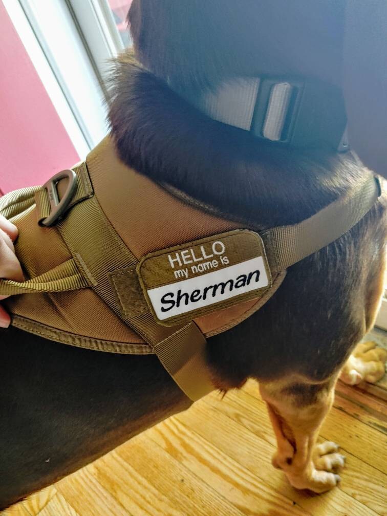 Hello My Name Is Custom Patch Name Patch  Personalized Name Patch Name Tag with Hook and Loop Fastener Available