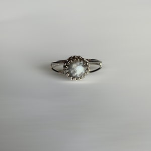 lyn added a photo of their purchase