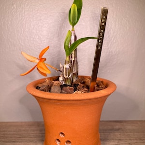 Andres added a photo of their purchase