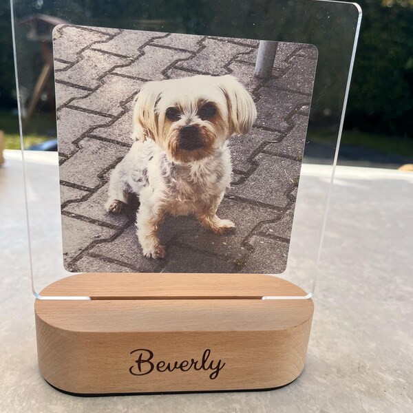 Croce In Legno Per Bambini Arca Di Noè, Faggio Laccato Bianco, 11x18 Cm, Con Stampa Colorata E Messaggio Di Benedizione, In Confezione Regalo