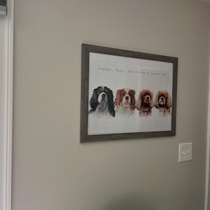 Sally adicionaram uma foto da sua compra