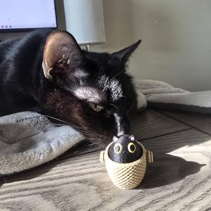 Cathleen added a photo of their purchase