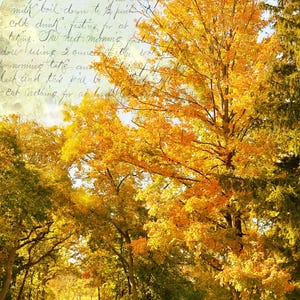 Bob added a photo of their purchase