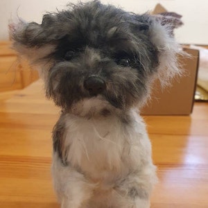 Sylvia added a photo of their purchase