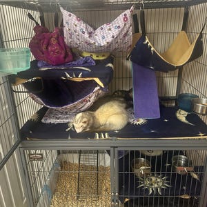 Olivia added a photo of their purchase