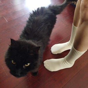 Tammy ha añadido una foto de su compra