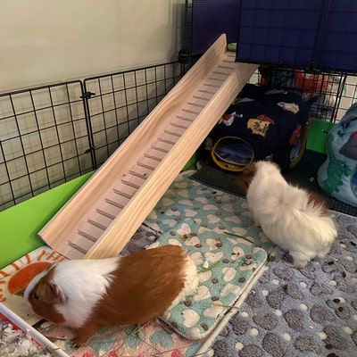 4.5 Hamster Ramp With Sides, Hamster Cage Ramp, Hamster Cage ...