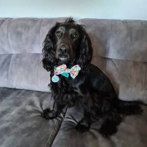 Louise added a photo of their purchase