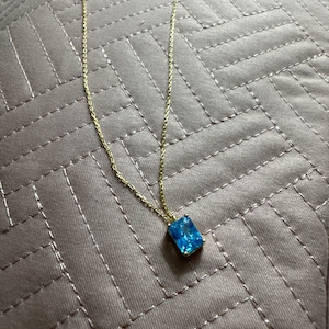 Lani added a photo of their purchase