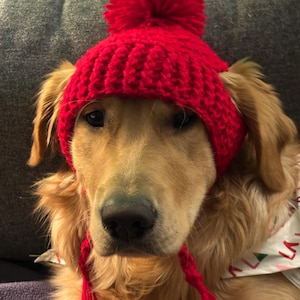 Sue ha añadido una foto de su compra