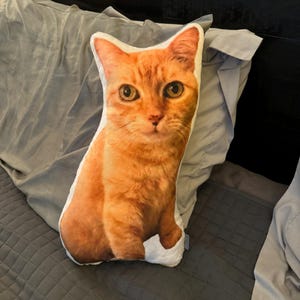 Tanja added a photo of their purchase