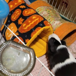 Neon added a photo of their purchase