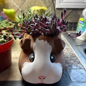 Keri added a photo of their purchase