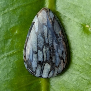 Amber hat ein Foto des gekauften Artikels hinzugefügt