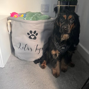 Sophie added a photo of their purchase