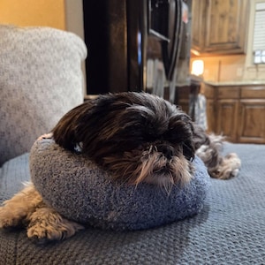 Janise added a photo of their purchase