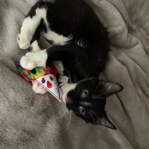Shelby ha añadido una foto de su compra
