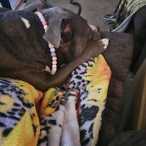 Candy added a photo of their purchase