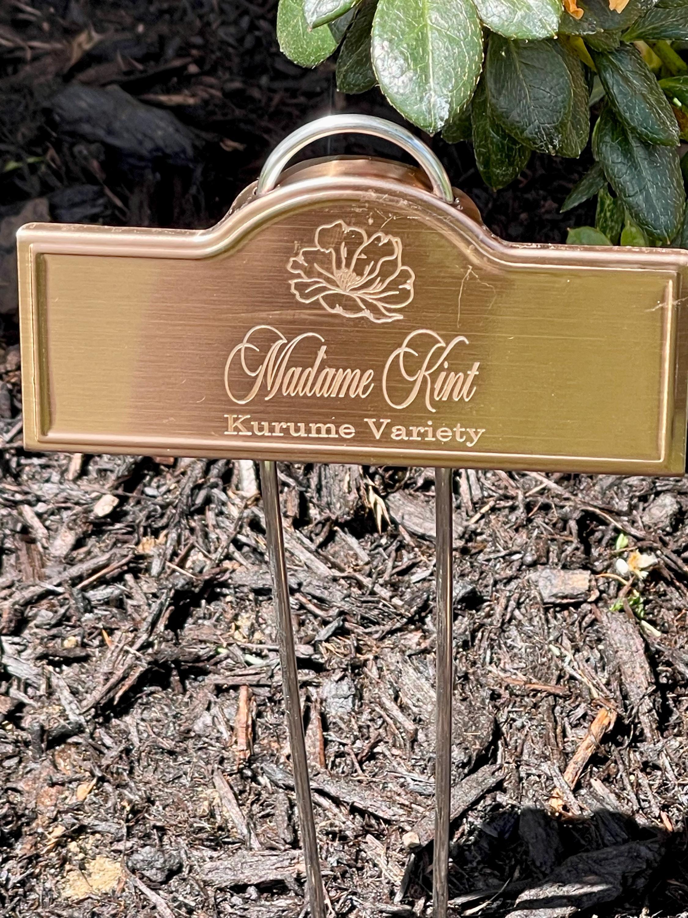 Custom Laser Engraved Copper Plant Rose Markers Stakes Garden Accessories