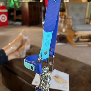 LAMB HALTER | "Duo" | stock show | show lamb |
