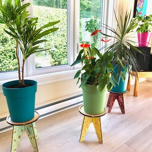 Marie-José added a photo of their purchase