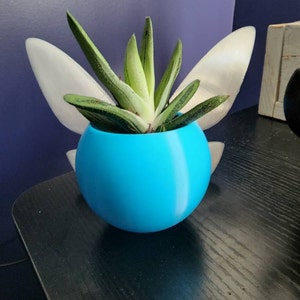 Comprador de Etsy ha añadido una foto de su compra