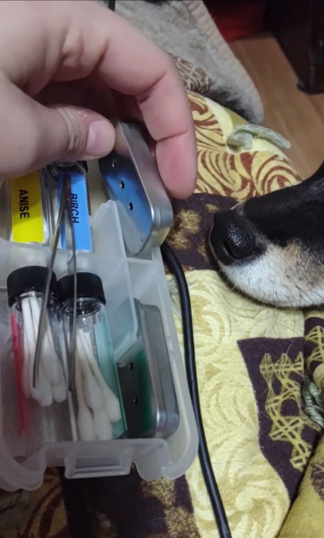 AKC Scent Work Training Kit