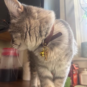 starrfae added a photo of their purchase