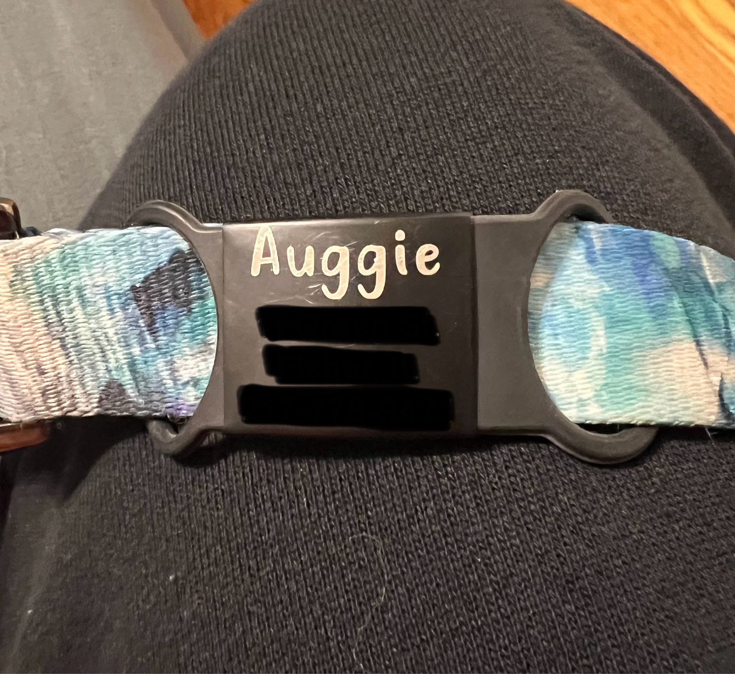 Custom Durable Slide Pet ID Tag🐶🐱,Personalized Name Silicone Dog Tag, Gift for Dog Owner