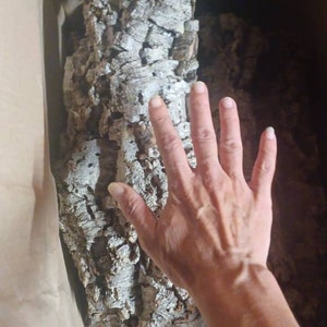 Shannon adicionaram uma foto da sua compra