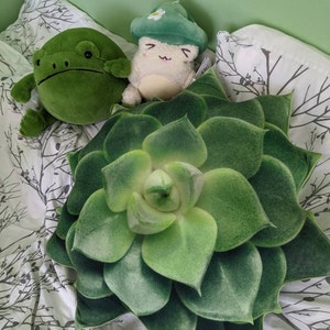 Helen added a photo of their purchase