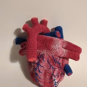 Olga added a photo of their purchase