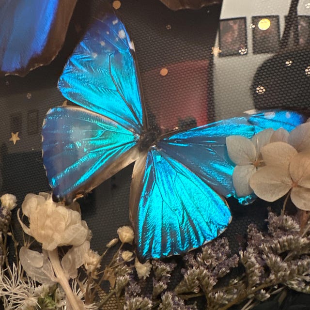 Blue butterfly 様 KB-57 Blue Morpho Butterfly Hand Carved On Premium Black
