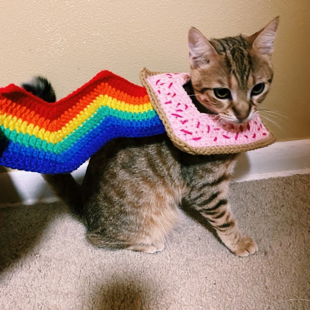Nyan cat outfit hot sale